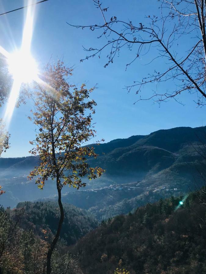 "Casa Do Avo Patricio" Mountain Experience Βίλα Parada  Εξωτερικό φωτογραφία