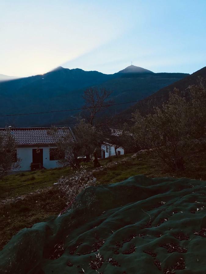 "Casa Do Avo Patricio" Mountain Experience Βίλα Parada  Εξωτερικό φωτογραφία